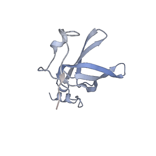 21470_6vys_y_v1-2
Escherichia coli transcription-translation complex A1 (TTC-A1) containing a 21 nt long mRNA spacer, NusG, and fMet-tRNAs at E-site and P-site