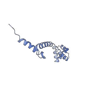 21470_6vys_z_v1-2
Escherichia coli transcription-translation complex A1 (TTC-A1) containing a 21 nt long mRNA spacer, NusG, and fMet-tRNAs at E-site and P-site