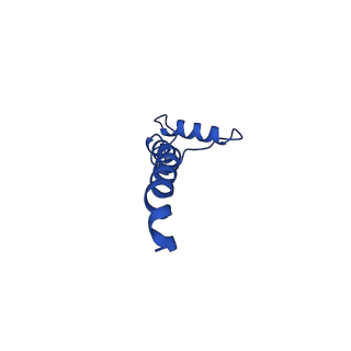 32191_7vy1_S_v1-1
Membrane arm of deactive state CI from Q10 dataset