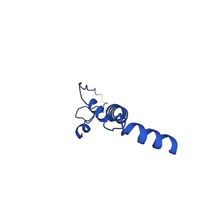 32191_7vy1_U_v1-1
Membrane arm of deactive state CI from Q10 dataset