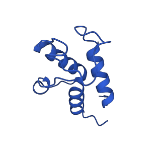 32191_7vy1_X_v1-1
Membrane arm of deactive state CI from Q10 dataset