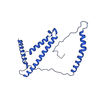32191_7vy1_d_v1-1
Membrane arm of deactive state CI from Q10 dataset