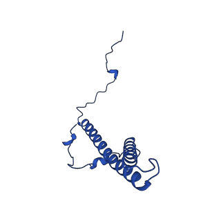 32191_7vy1_g_v1-1
Membrane arm of deactive state CI from Q10 dataset