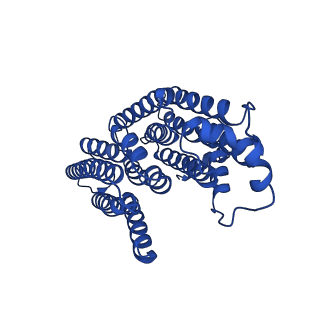 32191_7vy1_i_v1-1
Membrane arm of deactive state CI from Q10 dataset