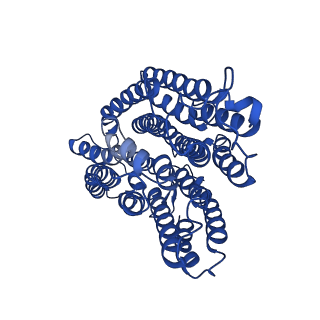 32191_7vy1_r_v1-1
Membrane arm of deactive state CI from Q10 dataset