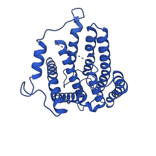 32191_7vy1_s_v1-1
Membrane arm of deactive state CI from Q10 dataset
