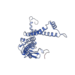 32193_7vy3_L_v1-0
STRUCTURE OF PHOTOSYNTHETIC LH1-RC SUPER-COMPLEX OF RHODOBACTER SPHAEROIDES LACKING PROTEIN-U