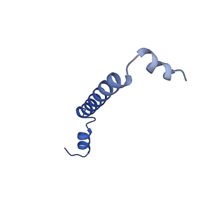 32193_7vy3_O_v1-0
STRUCTURE OF PHOTOSYNTHETIC LH1-RC SUPER-COMPLEX OF RHODOBACTER SPHAEROIDES LACKING PROTEIN-U