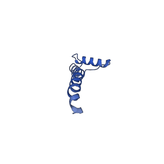 32197_7vy9_S_v1-0
Membrane arm of active state CI from Q10-NADH dataset