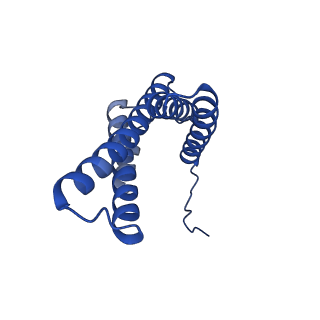32197_7vy9_V_v1-0
Membrane arm of active state CI from Q10-NADH dataset
