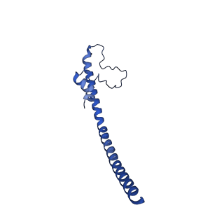 32197_7vy9_W_v1-0
Membrane arm of active state CI from Q10-NADH dataset