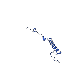32197_7vy9_Y_v1-0
Membrane arm of active state CI from Q10-NADH dataset