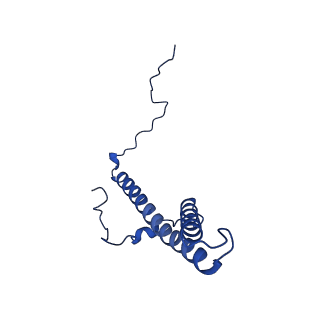 32197_7vy9_g_v1-0
Membrane arm of active state CI from Q10-NADH dataset