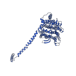 32197_7vy9_l_v1-0
Membrane arm of active state CI from Q10-NADH dataset