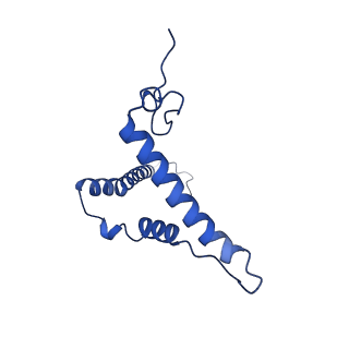 32197_7vy9_o_v1-0
Membrane arm of active state CI from Q10-NADH dataset