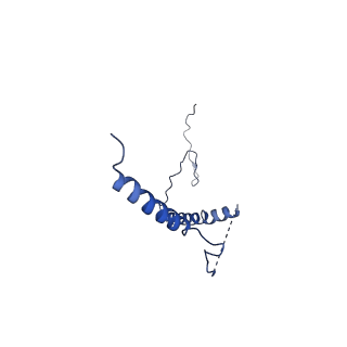 32202_7vye_b_v1-0
Membrane arm of deactive state CI from Q10-NADH dataset