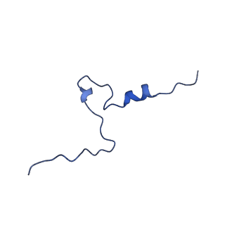 32204_7vyg_Q_v1-1
Membrane arm of active state CI from rotenone dataset