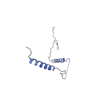 32204_7vyg_b_v1-1
Membrane arm of active state CI from rotenone dataset
