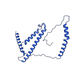 32204_7vyg_d_v1-1
Membrane arm of active state CI from rotenone dataset