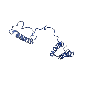 32204_7vyg_j_v1-1
Membrane arm of active state CI from rotenone dataset