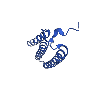 32204_7vyg_k_v1-1
Membrane arm of active state CI from rotenone dataset