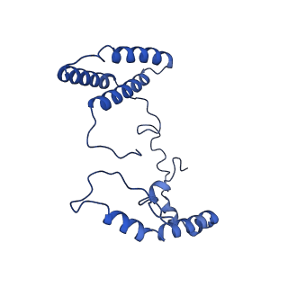 32204_7vyg_p_v1-1
Membrane arm of active state CI from rotenone dataset