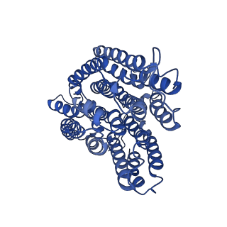 32204_7vyg_r_v1-1
Membrane arm of active state CI from rotenone dataset