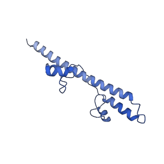 32204_7vyg_v_v1-1
Membrane arm of active state CI from rotenone dataset