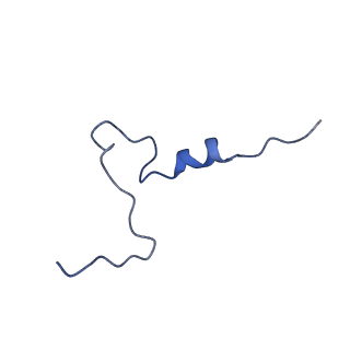32206_7vyi_Q_v1-1
Membrane arm of deactive state CI from Rotenone dataset
