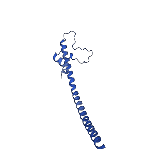 32206_7vyi_W_v1-1
Membrane arm of deactive state CI from Rotenone dataset