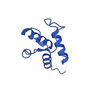32206_7vyi_X_v1-1
Membrane arm of deactive state CI from Rotenone dataset