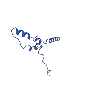 32206_7vyi_Z_v1-1
Membrane arm of deactive state CI from Rotenone dataset