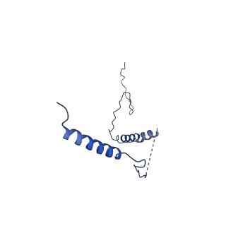 32206_7vyi_b_v1-1
Membrane arm of deactive state CI from Rotenone dataset