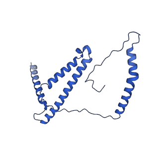32206_7vyi_d_v1-1
Membrane arm of deactive state CI from Rotenone dataset