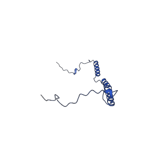 32206_7vyi_e_v1-1
Membrane arm of deactive state CI from Rotenone dataset