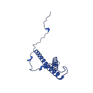 32206_7vyi_g_v1-1
Membrane arm of deactive state CI from Rotenone dataset