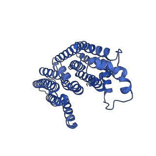 32206_7vyi_i_v1-1
Membrane arm of deactive state CI from Rotenone dataset