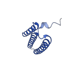 32206_7vyi_k_v1-1
Membrane arm of deactive state CI from Rotenone dataset