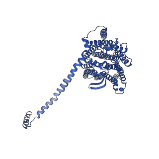 32206_7vyi_l_v1-1
Membrane arm of deactive state CI from Rotenone dataset