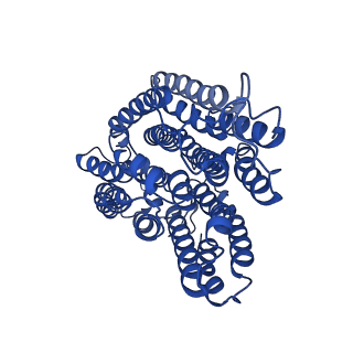32206_7vyi_r_v1-1
Membrane arm of deactive state CI from Rotenone dataset