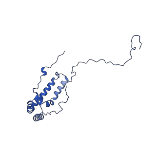 32206_7vyi_u_v1-1
Membrane arm of deactive state CI from Rotenone dataset