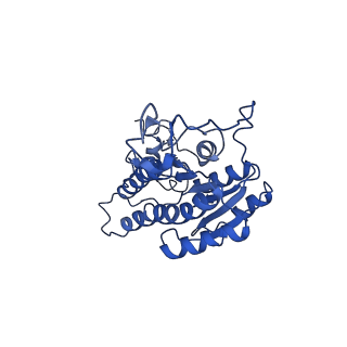 32211_7vyq_A_v1-3
Short chain dehydrogenase (SCR) cryoEM structure with NADP and ethyl 4-chloroacetoacetate