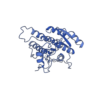 32211_7vyq_B_v1-3
Short chain dehydrogenase (SCR) cryoEM structure with NADP and ethyl 4-chloroacetoacetate