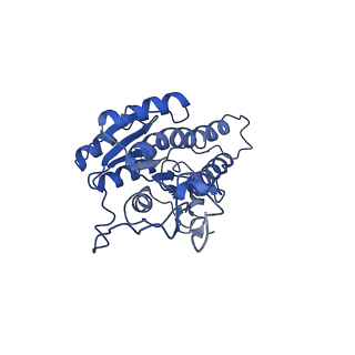 32211_7vyq_F_v1-3
Short chain dehydrogenase (SCR) cryoEM structure with NADP and ethyl 4-chloroacetoacetate