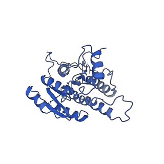 32211_7vyq_G_v1-3
Short chain dehydrogenase (SCR) cryoEM structure with NADP and ethyl 4-chloroacetoacetate