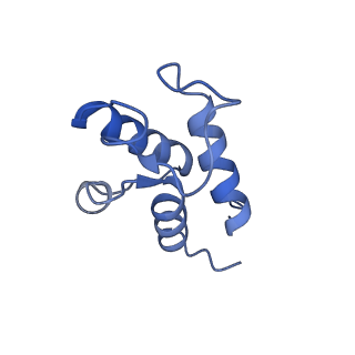 32214_7vys_X_v1-1
Membrane arm of active state CI from Q1-NADH dataset