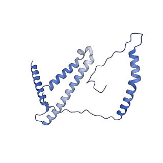 32214_7vys_d_v1-1
Membrane arm of active state CI from Q1-NADH dataset