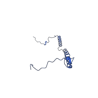 32214_7vys_e_v1-1
Membrane arm of active state CI from Q1-NADH dataset