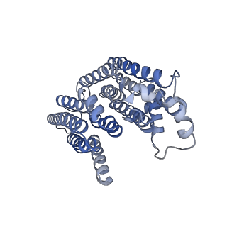 32214_7vys_i_v1-1
Membrane arm of active state CI from Q1-NADH dataset