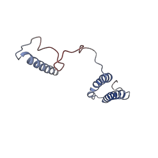 32214_7vys_j_v1-1
Membrane arm of active state CI from Q1-NADH dataset
